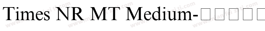 Times NR MT Medium字体转换